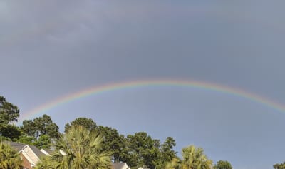 Rain, Rain....Yes, that's Rain!!!