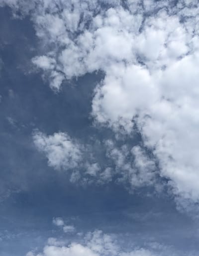 Creepy Crabs on A Hot Summer Day