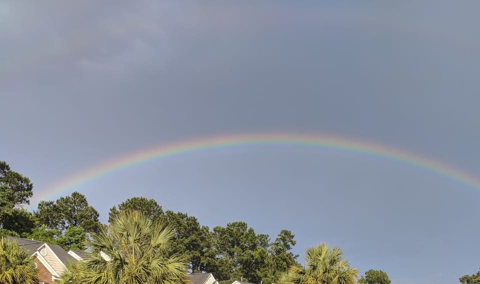 Rain, Rain....Yes, that's Rain!!!