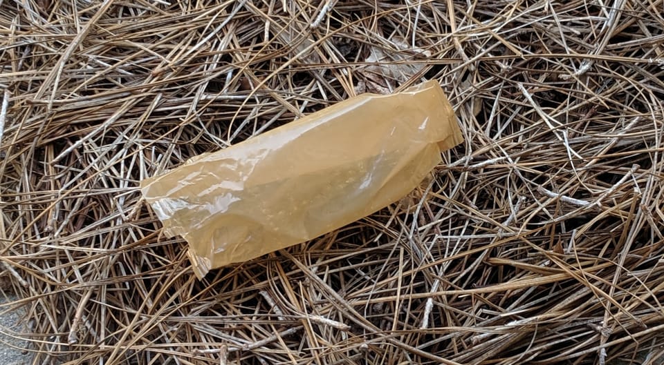 Do I See What I Think I See?